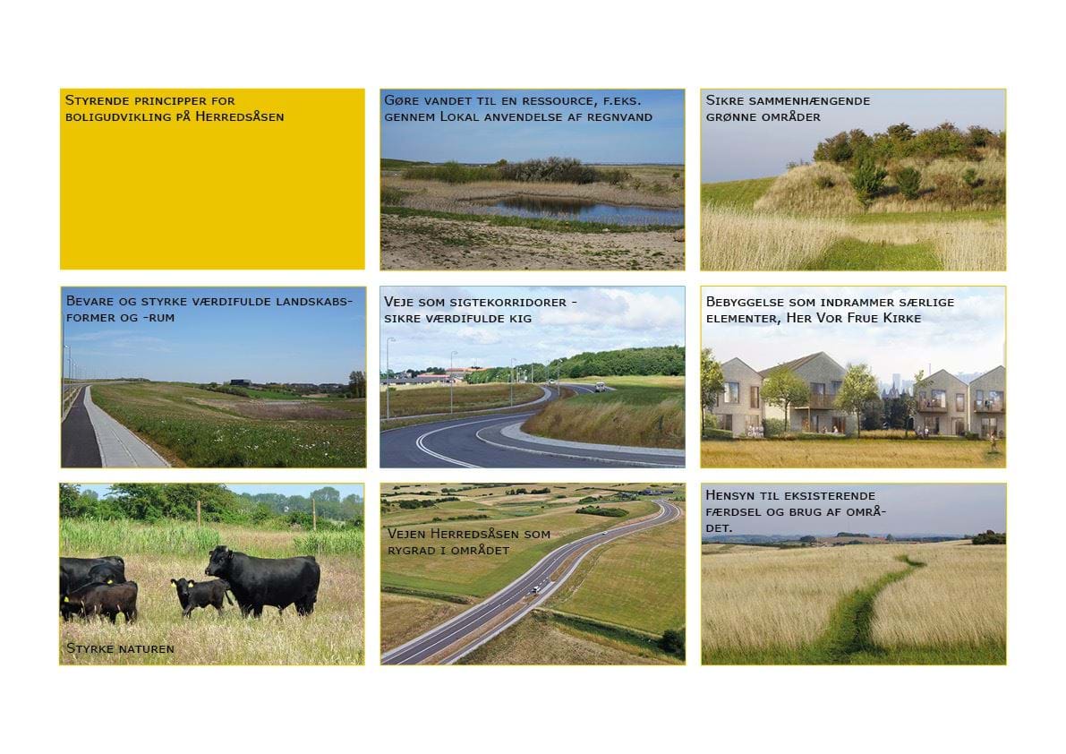 Billeder af landskabselementer på Herredsåsen