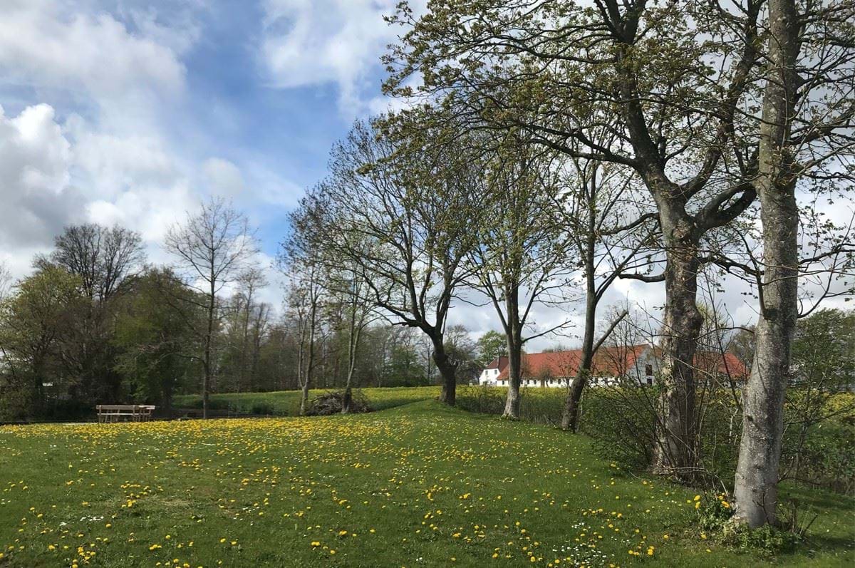 Fællesareal ved landsbyens gadekær