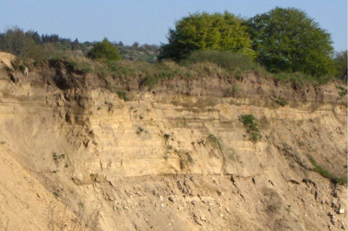 Geologisk profil i grusgrav