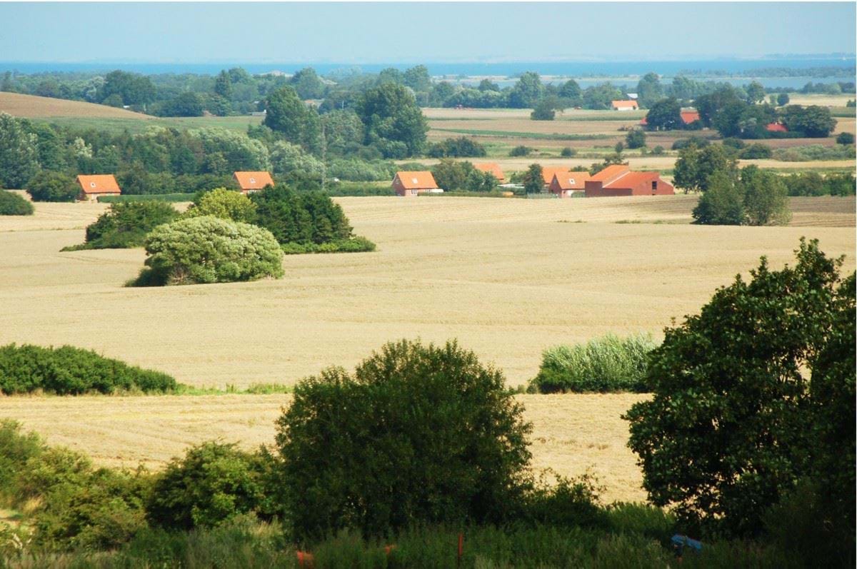 Billede af landskab med marker og huse