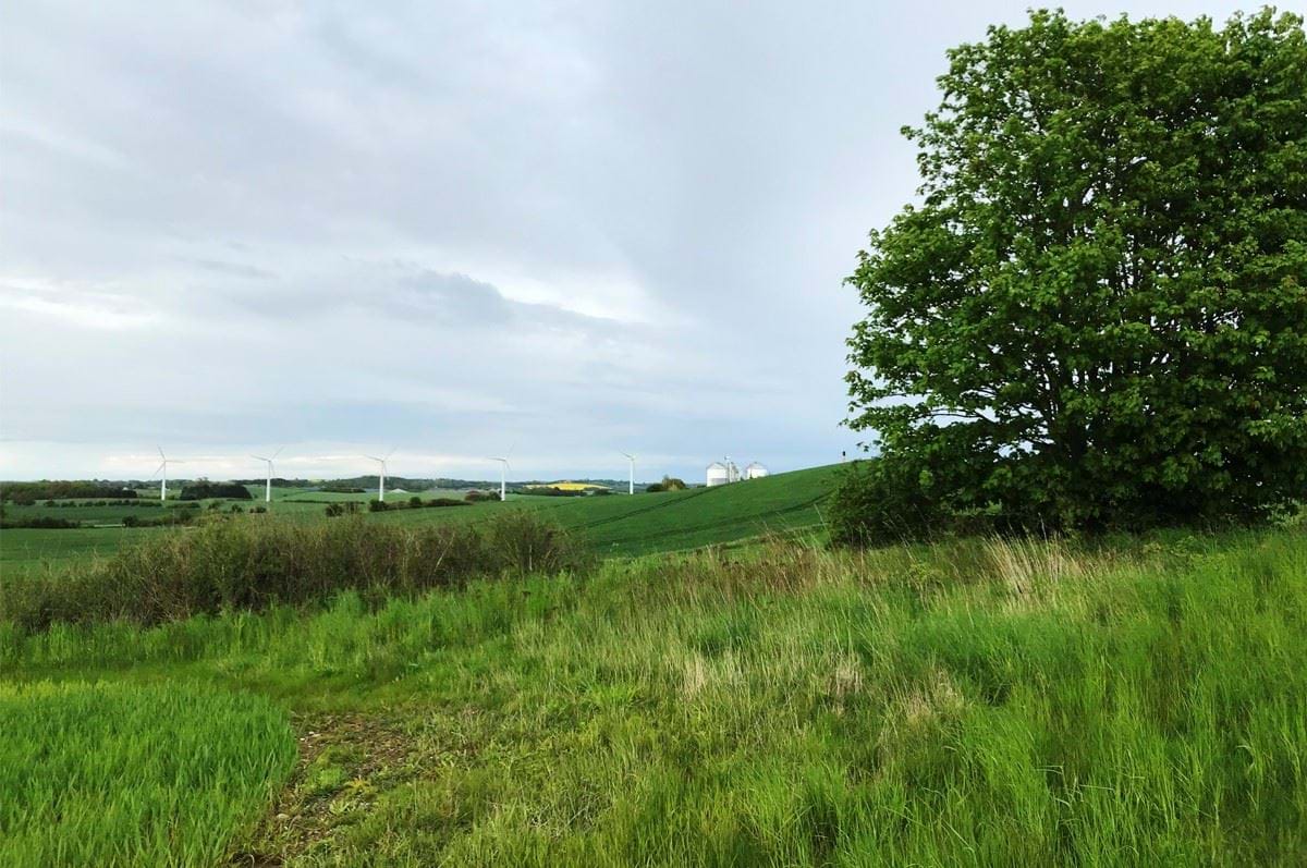 Landskab med større fælles biogasanlæg i horisonten