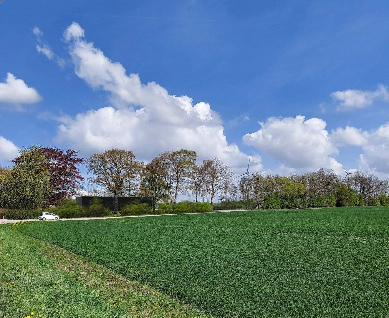 Visualisering af beplantning for projektet