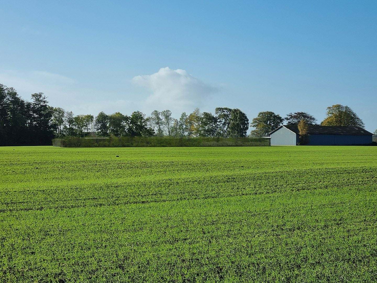 Visualisering af projektområdet fra nord